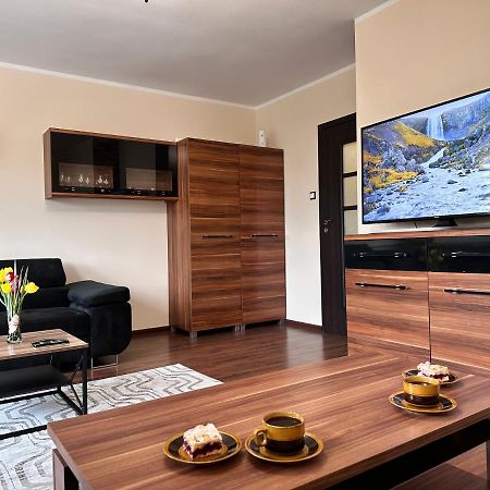 Apartament Dabrowskiego - 格利维采 外观 照片