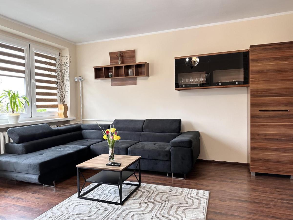 Apartament Dabrowskiego - 格利维采 外观 照片